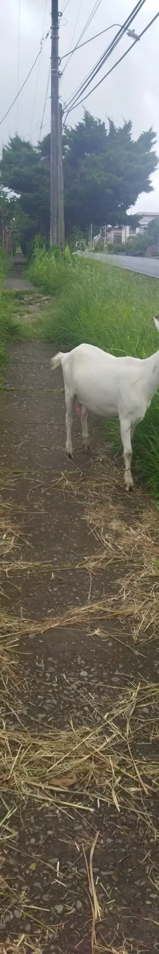 Für einmal ist Pünktlichkeit Nebensache